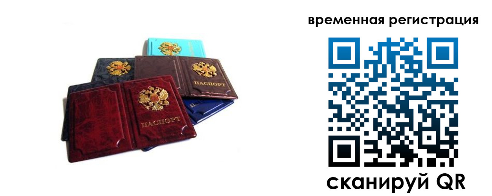 прописка гарантия в Орловской области